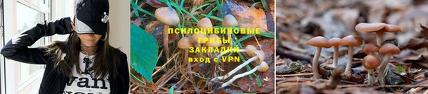 spice Абинск