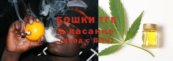 гидра Абаза