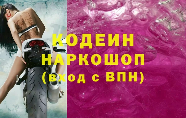 гидра Абаза