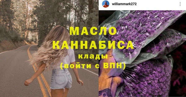 гидра Абаза