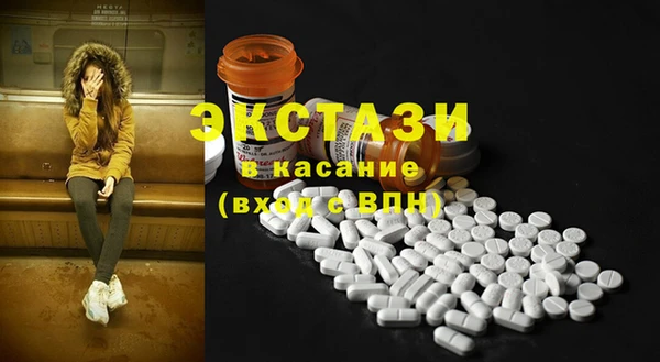 гидра Абаза